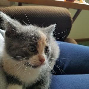 Meet your Posher, Debbie